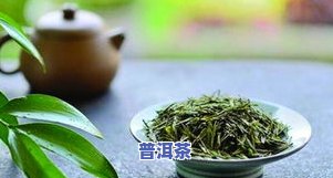 茶叶应放多少合适-茶叶应放多少合适呢