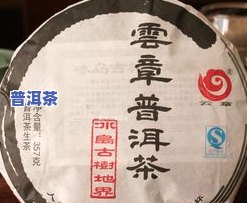 深入了解：普洱茶冰岛的口感与特点是什么？