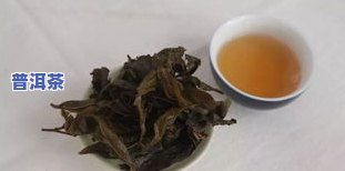 衡阳普洱茶-湖南普洱茶