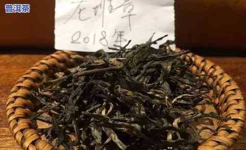 普洱茶冰岛口感价格及特点解析