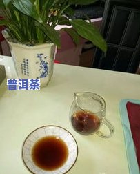 现在普洱茶好喝吗？上有相关讨论和评价