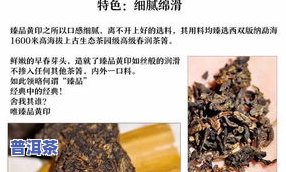 山上自然普洱茶：深度解析熟茶、价格与图片，探索深山里的普洱魅力