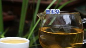 普洱茶滴油-普洱茶油点