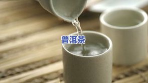 喝普洱茶能助消化吗？科学解析其功效与适宜人群