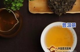 大益普洱茶哪里买的到正宗？全网搜寻最靠谱的购买渠道！