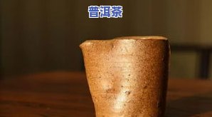 芳华茶叶属于哪种茶-芳华茶叶属于哪种茶类