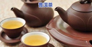 域邦普洱茶深圳直销店地址及联系方法