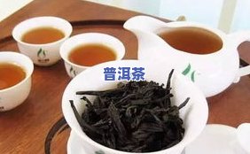 什么人不宜喝茶叶茶-什么人不宜喝茶叶茶水