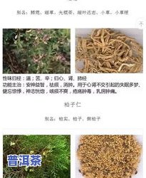 探究松潘材：种类、品种及图片全面解析