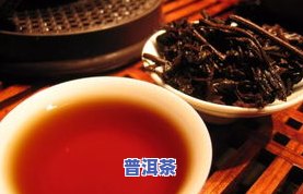 松潘普洱茶-松潘 茶