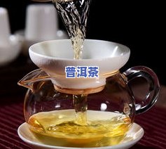 冰岛普洱茶是哪个的-冰岛普洱茶是哪个的茶