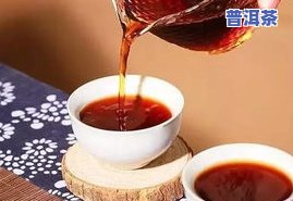 如何用图片看懂普洱茶：一份全面的说说指南