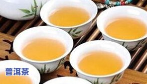 普洱茶送人生：生茶还是熟茶？探讨比较