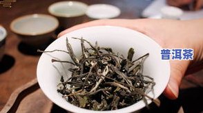 普洱长岛古树茶：每次泡多少合适？