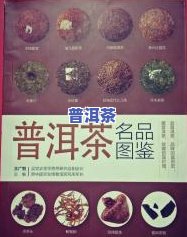 普洱茶名品图鉴大全及价格查询：十大名品全收录