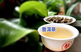 林间普洱茶-林间茶是什么茶