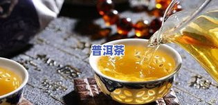 福地普洱茶官方-福地普洱茶官方旗舰店