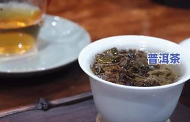 福地普洱茶官方-福地普洱茶官方旗舰店