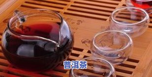 云南昆明普洱茶厂：探索优质普洱茶的源头与市场