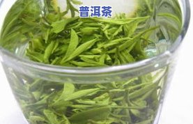 仙居茶叶仙青云雾茶-仙青云雾茶价格表