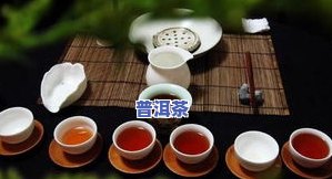 南国嘉木普洱茶：价格、种类与含义全解析