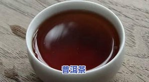 茶叶买新茶还是陈茶-茶叶买新茶还是陈茶好