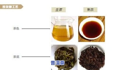 普洱茶的加工工艺是什么？包括哪些工序？