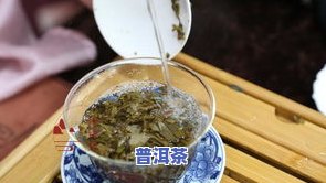 普洱茶的冲泡技艺全面解析：步骤、技巧与视频教程