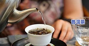 普洱茶冲泡时间水温的合适范围是多大？