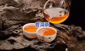 普洱茶冲泡时间水温的合适范围是多大？