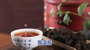 普洱茶冲泡时间水温是多少-普洱茶冲泡时间水温是多少度