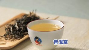 易武普洱茶特点口感与功效全解析，了解其品种及价格