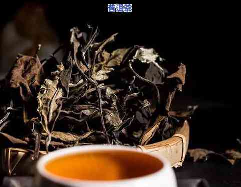 什么地方的普洱茶更好卖？价格、图片全揭秘！