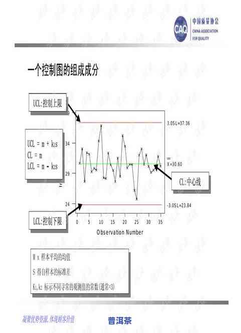 普洱茶揉捏工艺详解：流程、步骤与特点