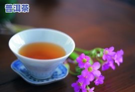 普洱茶和苹果：能一起食用吗？煮水有何功效？后果是什么？与苹果醋能混饮吗？