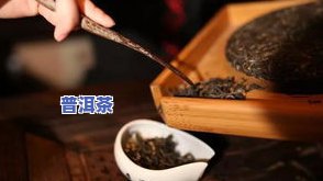 普洱茶饼怎么吃-普洱茶饼怎么喝