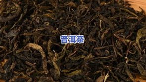 金砖茶叶属于哪种茶叶类型？详解其类别与特点