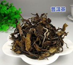 普洱生茶什么价格更好？从口感、音质到销量，全面解析