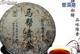 介绍冰岛熟普洱茶的视频-介绍冰岛熟普洱茶的视频教程