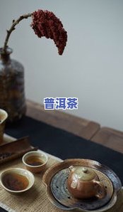 普洱茶什么品种更好喝？香气浓郁的品种推荐