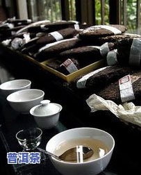 哪个季节喝普洱茶更好？男生、女生都适用！