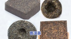 普洱茶茶号的含义：起源、象征与全解析