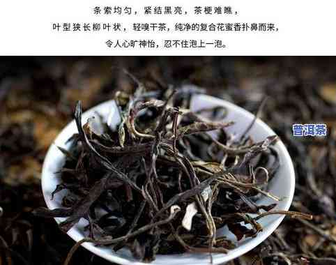 那罕普洱茶价格与特点全解析：2020年临沧那罕古树茶价格一览