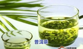 冰岛绿茶和普洱茶哪个好喝？详细比较解析