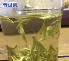 冰岛绿茶和普洱茶哪个好喝？详细比较解析