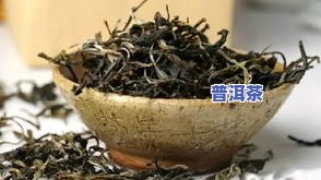 茶叶是哪个地区的特产？探究其产地与品种