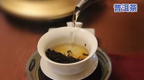 问专家：普洱茶正确冲泡方法是什么？