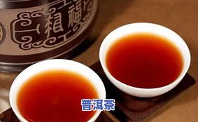 普洱茶怎么泡啊？正确方法与保存技巧全解析