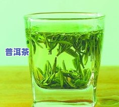 伊利青柑普洱茶保质期多久-伊利青柑普洱茶保质期多久啊