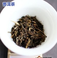 大黑森林普洱茶价格及特点全揭秘！